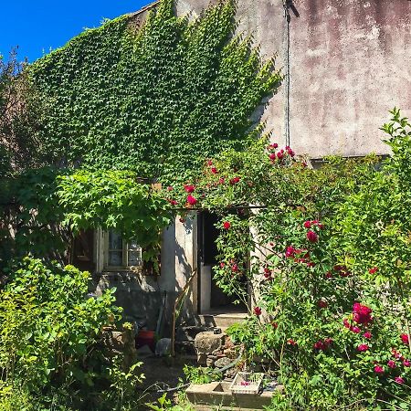 Le Mas Du Figuier, Maison De Vacances Le Bousquet-d'Orb Exterior photo