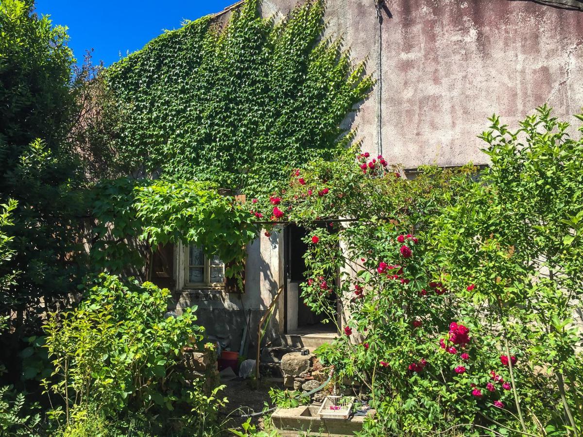 Le Mas Du Figuier, Maison De Vacances Le Bousquet-d'Orb Exterior photo